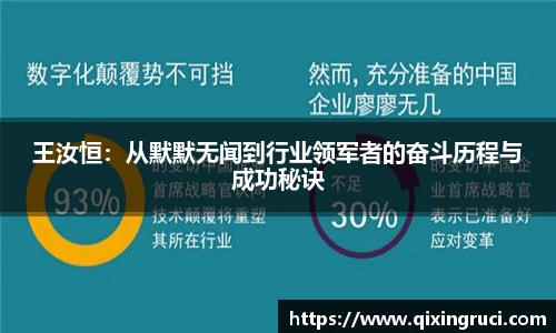 王汝恒：从默默无闻到行业领军者的奋斗历程与成功秘诀